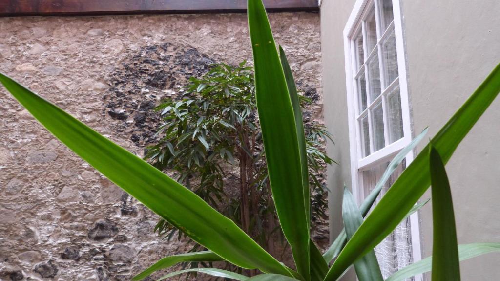 La Casa De Vegueta Lägenhet Las Palmas de Gran Canaria Exteriör bild