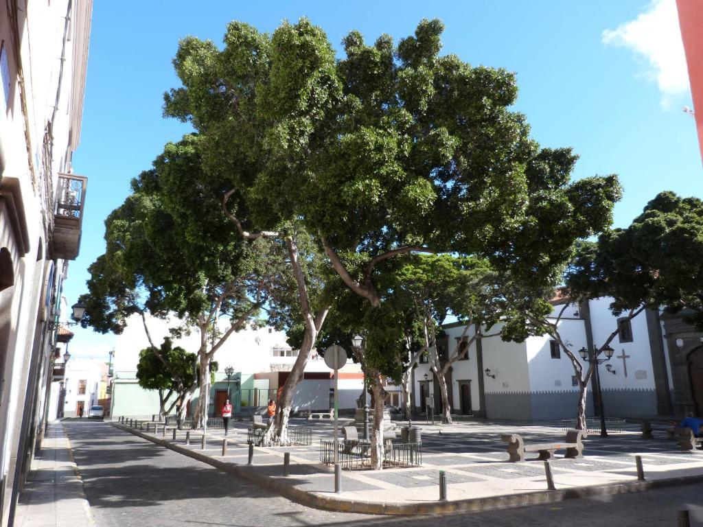 La Casa De Vegueta Lägenhet Las Palmas de Gran Canaria Exteriör bild